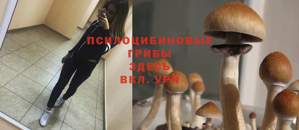 синтетический гашиш Михайловка