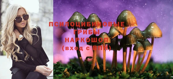 2c-b Михайловск